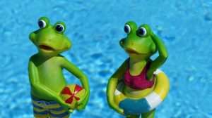 2 ranas en la piscina verano pelota flotador