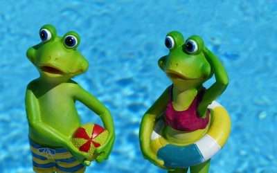 Cómo tratar las molestias típicas del verano
