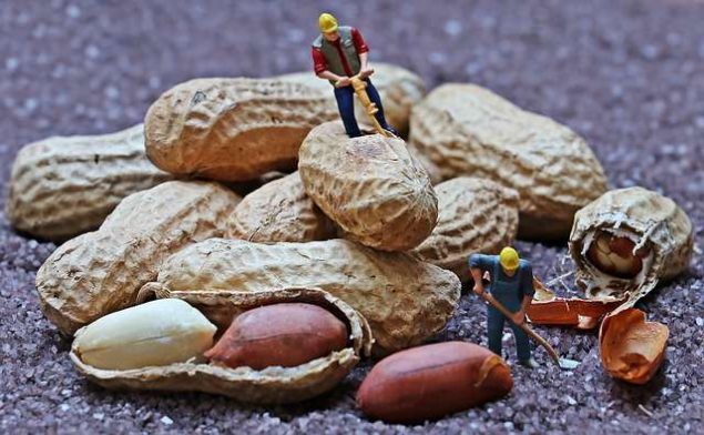 cacahuetes frutos secos comida alergia alimentaria