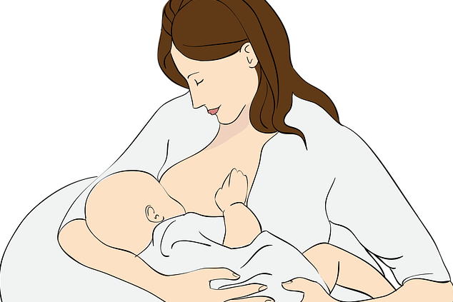 dibujo de una mujer dando el pecho en lactancia