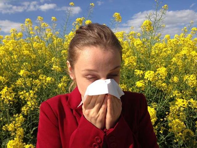 mujer estornudando con alergia al polen de las margaritas