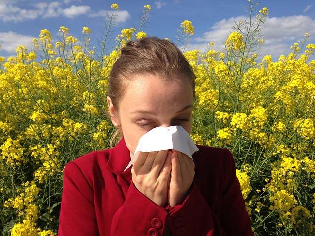 mujer estornudando margaritas alergia