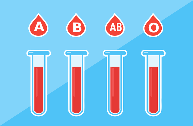 dibujo con tubitos de sangre A, B, AB Y 0 para hablar de cómo se hereda el grupo sanguíneo