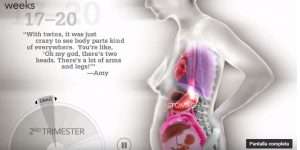 grafico que muestra como cambia el cuerpo de la embarazada