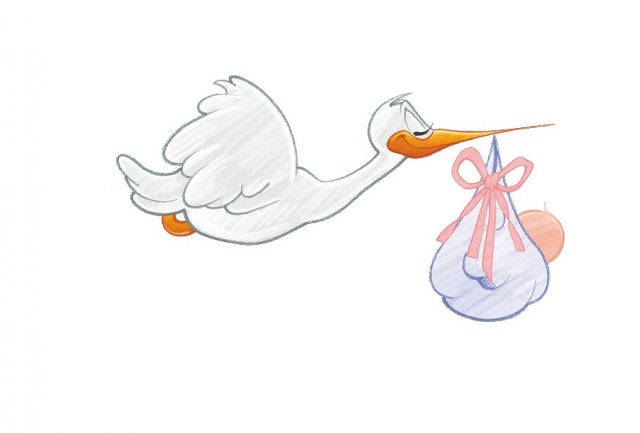 dibujo de cigueña llevando bolsa con bebe