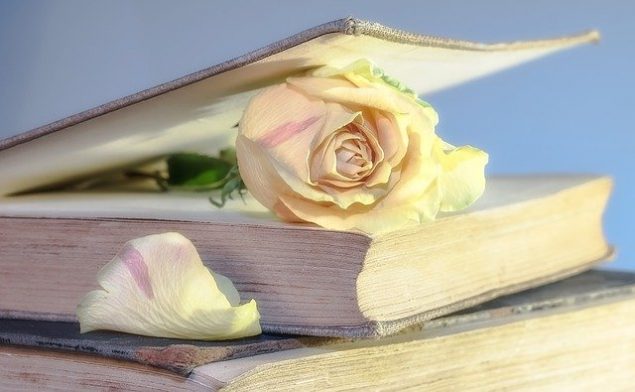 libro con una rosa dentro