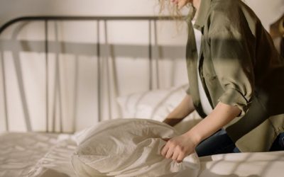 Consejos para prevenir y combatir las chinches