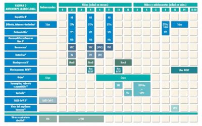 Calendario de vacunación infantil 2024 de la AEP