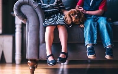 Consejos para elegir los zapatos colegiales