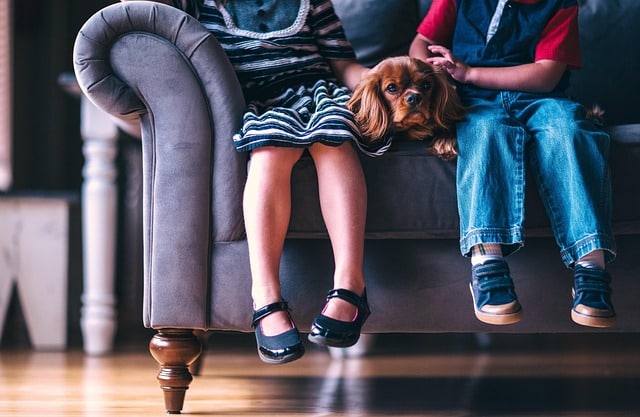 Consejos para elegir los zapatos colegiales