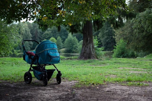 carrito bebe silla paseo campo
