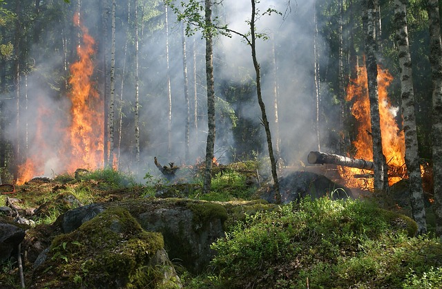 incendio fuego